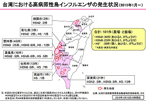 日銷毀7萬雞隻  追蹤世界禽流感含台灣