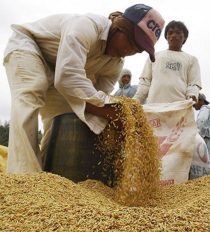 世界糧食價格  20年內翻倍漲