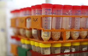 雀巢驗出馬肉  義西下架2產品