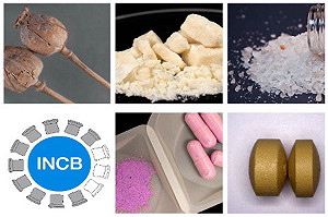 UN打擊毒品  鼓勵發展替代作物取代罌粟