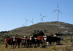 烏拉圭：台灣第84大貿易夥伴國