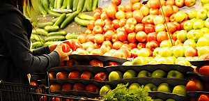 全球糧食浪費驚人！耗食可養20億人