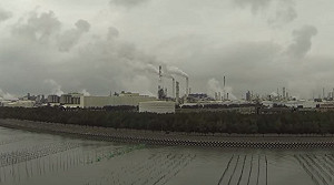 小心！空氣汙染可能加速大腦衰老