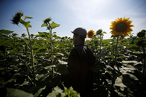 馬航失事地目擊者：人影從空中降下來