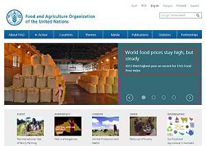 糧農組織稱2013年世界食品價格居高不下