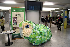 聯合國醞釀推國際生物多樣性10年計畫