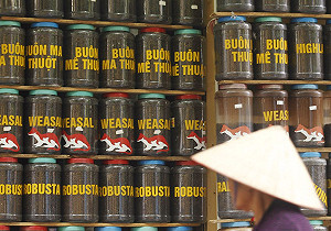 越南1月出口成長43.2%