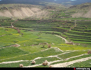 IS釋放200雅茲迪族俘虜  原因不明