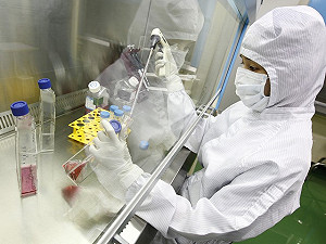 破壞胚胎取幹細胞  歐禁發專利