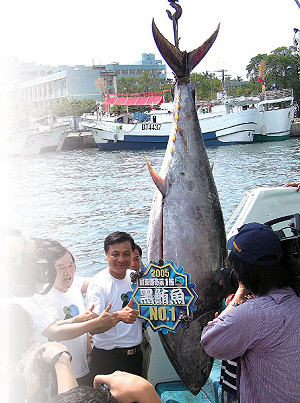 對決金小刀 蘇嘉全接任秘書長