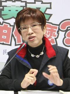 角逐立院副龍頭  洪秀柱勝出