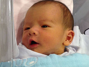 立委鄭麗君喜獲麟兒  獅子座寶寶平安誕生