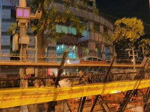 國民黨恐大敗  羅淑蕾開砲要馬辭黨主席