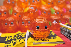 小豬熱潮不退  民進黨：上看20萬隻