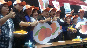 堅拒主委職 王金平：已推薦名單給洪秀柱