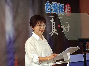 反省感言狂批扁李和民粹社會 洪：國家病了