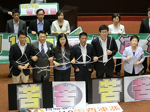 「苦民所苦」？綠委纏繩要求凍漲電價