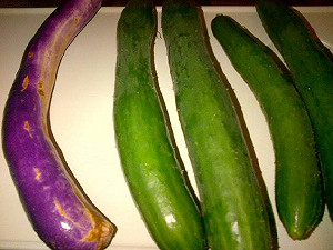 呂秀蓮：爭取下 扁獄中當起農夫