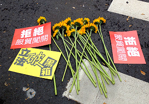 台聯立院發向日葵  遭路過民眾嗆聲