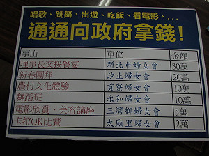 台聯控藍婦女會3年領近億補助 搶社福資源