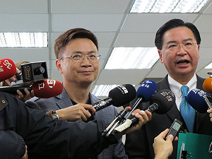 黃志芳加入民進黨  接國際部主任