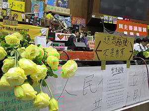 怕邱毅誤會  學生標明：是桔梗不是香蕉