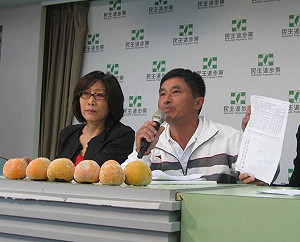 國民黨發起團購2元柿子  柿農：糟蹋人