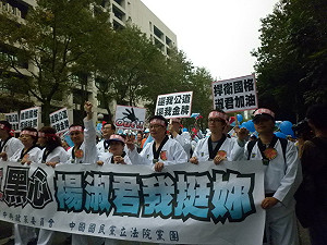 藍營辦嘉年華遊行  也要力挺楊淑君