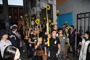 楊索觀點》金光閃閃太陽花