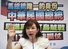 維基「揭密」  藍：聽起來很蠢 不像朱