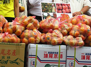 均價10元收購3元 馬腦袋想什麼？