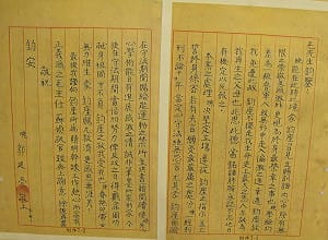 監院報告：構陷孫立人大戲  小蔣發安家費