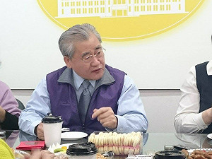 黨公總統婆 小媳婦毛內閣的困境