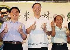 5都市長財力  朱立倫最富陳菊最窮