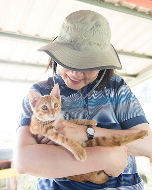 愛貓蔡想想有弟弟了 名字叫阿才