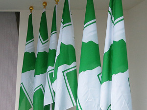 呂秀蓮聲聲催  綠北市徵詢小組：時程不急