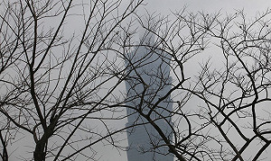 頂新101股權閃賣大馬地產商IOI  賺190億