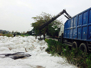 轉售黑心澱粉賺暴利  南和行負責人遭羈押