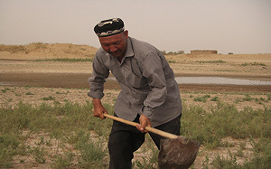 我在樓蘭有棵樹  重現二千年前古國風華