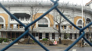 砍樹種花、綠地變工地  花博會變調