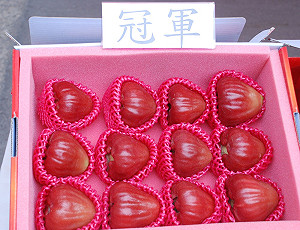 不畏88風災  今年冠軍蓮霧風味一樣棒