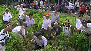 大埔又遭殃　農村陣線 : 總統府支持劉政鴻硬幹