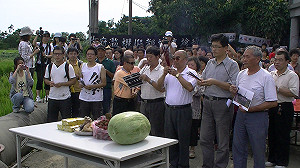 台灣人不吃米   改吃義大利麵了嗎?