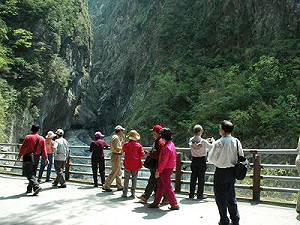 「想來就來」 中客自由行將1年多簽