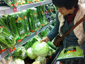 颱風過後   蔬菜批發價平均漲5成