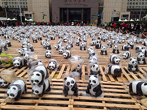 封道辦自由車賽事  紙貓熊週日中午開展