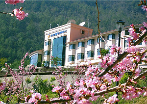 武陵農場度假村 疑120人感染諾羅病毒