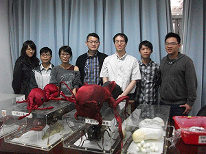 中研院發現紅火蟻社群基因  有助防治