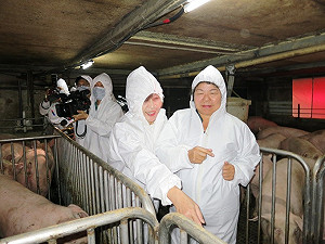 挺畜牧業  陳菊：從小跟豬一起長大的