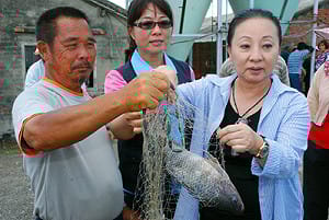 韓節目抹黑台灣鯛　外交部要求更正